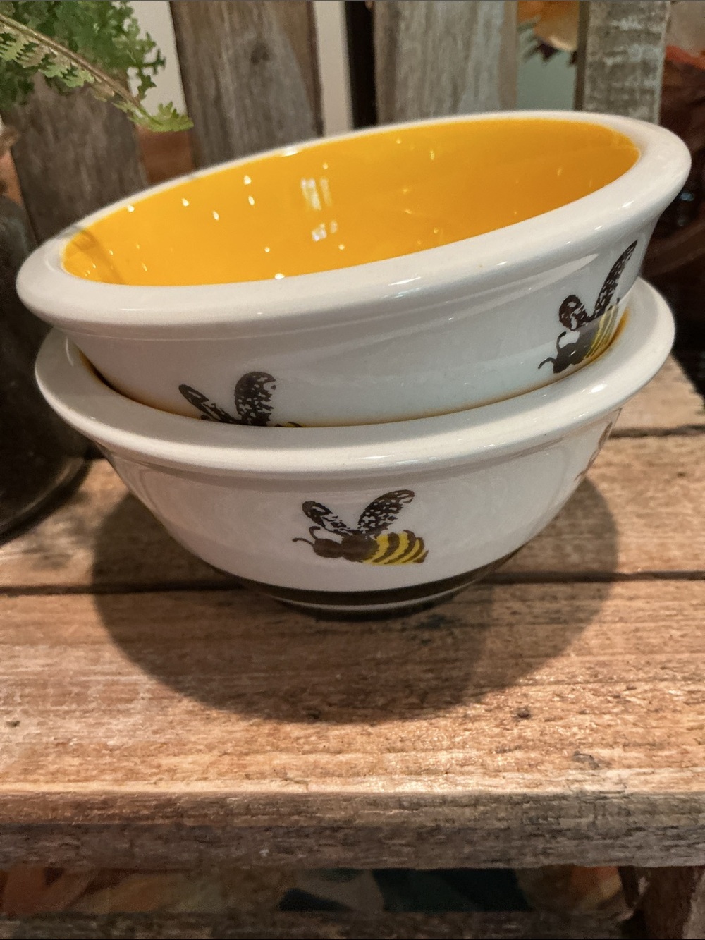 EUC - Set of 2 Bee Inspired Small Bowls